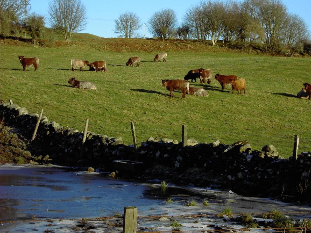 Nest Holiday Home Central Callander, Trossachs Self-Catering Экстерьер фото